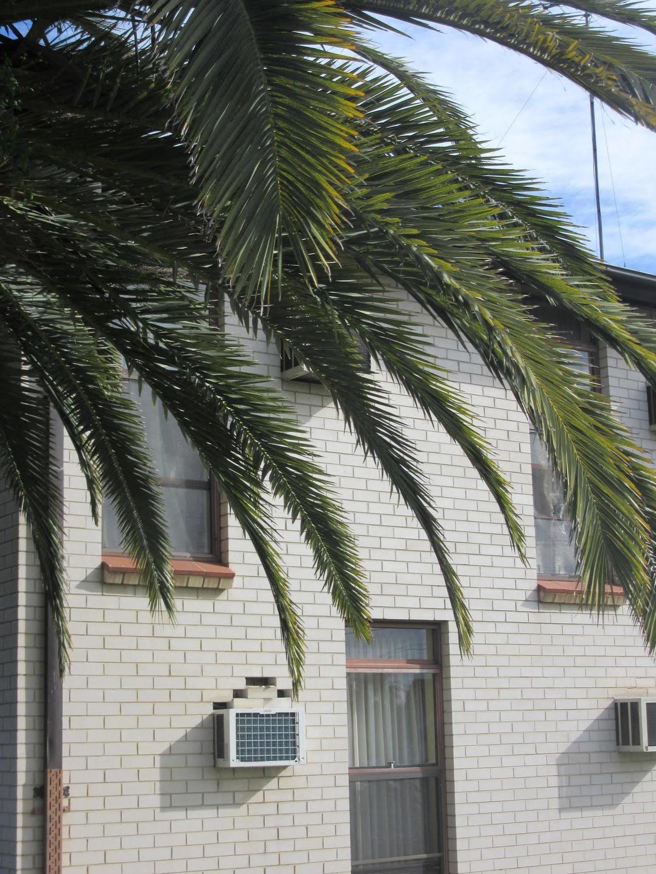 El Toro Motel Warwick Farm Ngoại thất bức ảnh